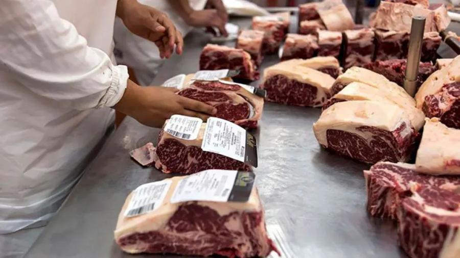 Empleados de frigorífico empaquetando carne para exportación agroindustrial