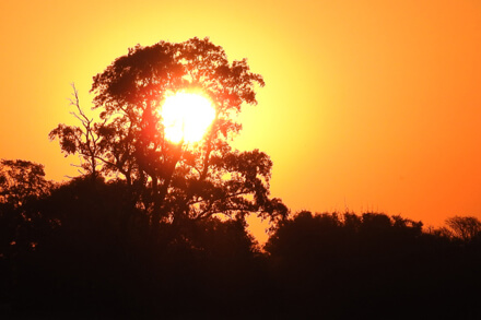 Sol intenso en una tarde de verano calurosa en el norte de Santa Fe con altas temperaturas y ambiente húmedo