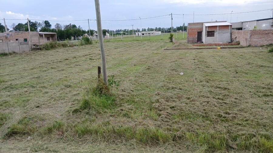 Espacios verdes de Las Toscas luego de tareas de corte de pasto y mantenimiento municipal