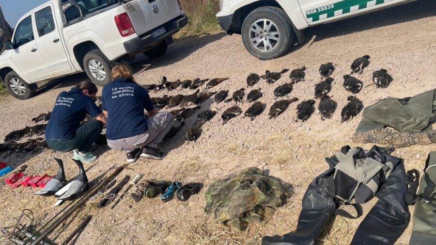 Operativo contra la caza ilegal de fauna silvestre en Santa Fe