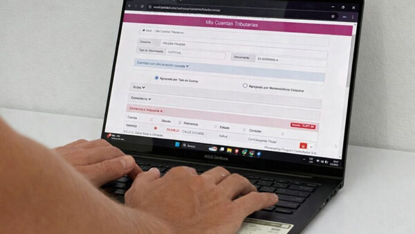 Usuario realizando el pago del DREI a través del sitio web del municipio de Avellaneda