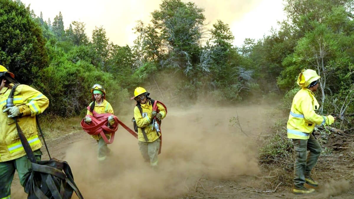 Brigadistas santafesinos trabajan en plena acción en los incendios forestales del sur del país