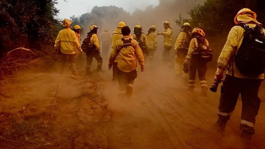 Grupo de brigadistas forestales de Santa Fe trabajando en equipo para contener los incendios en la Patagonia.