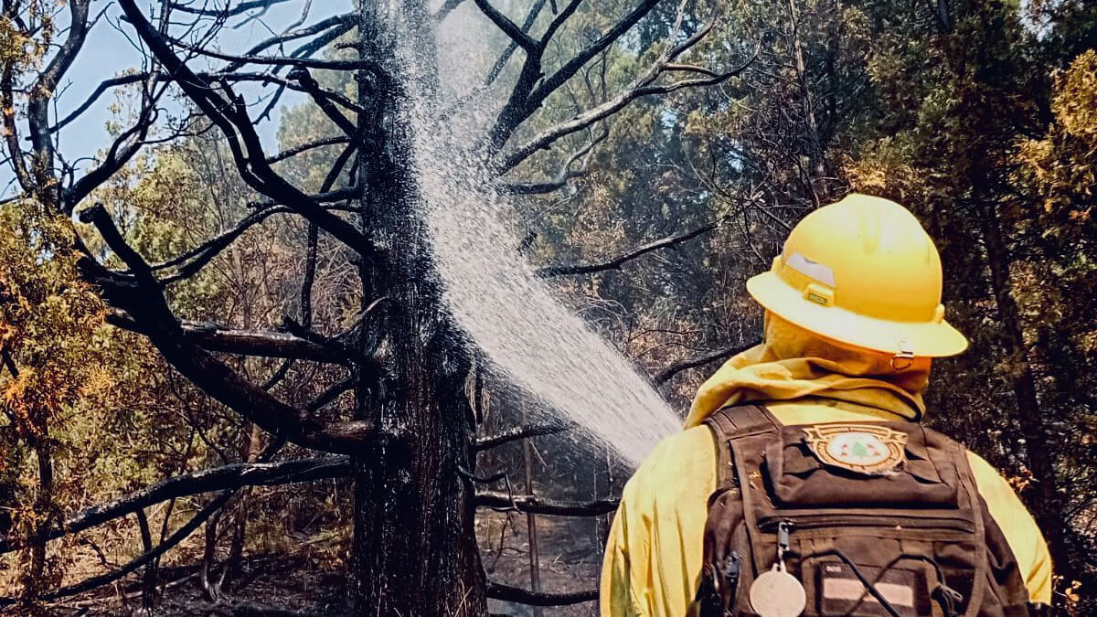 Brigadista santafesino realiza trabajos de combate directo contra el fuego en un incendio forestal en Chubut.