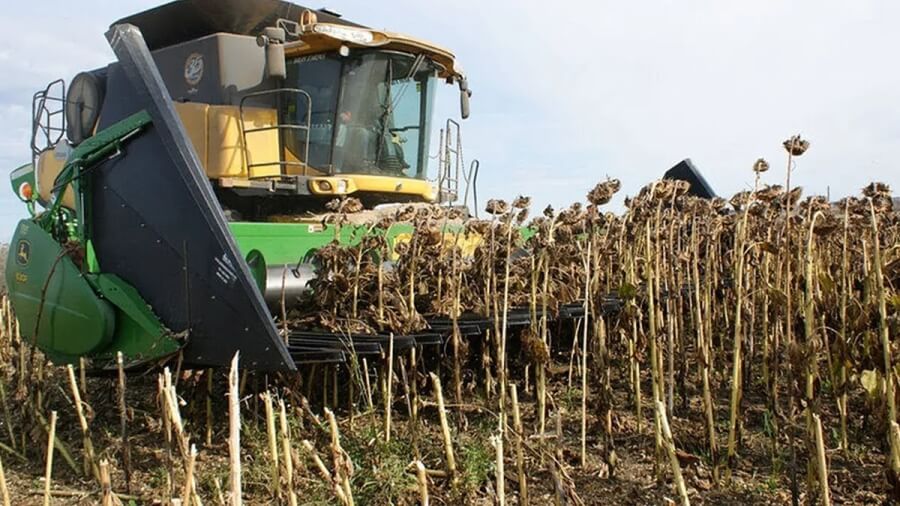 Cosecha de girasol 2025/26 en Argentina, maquinaria en acción