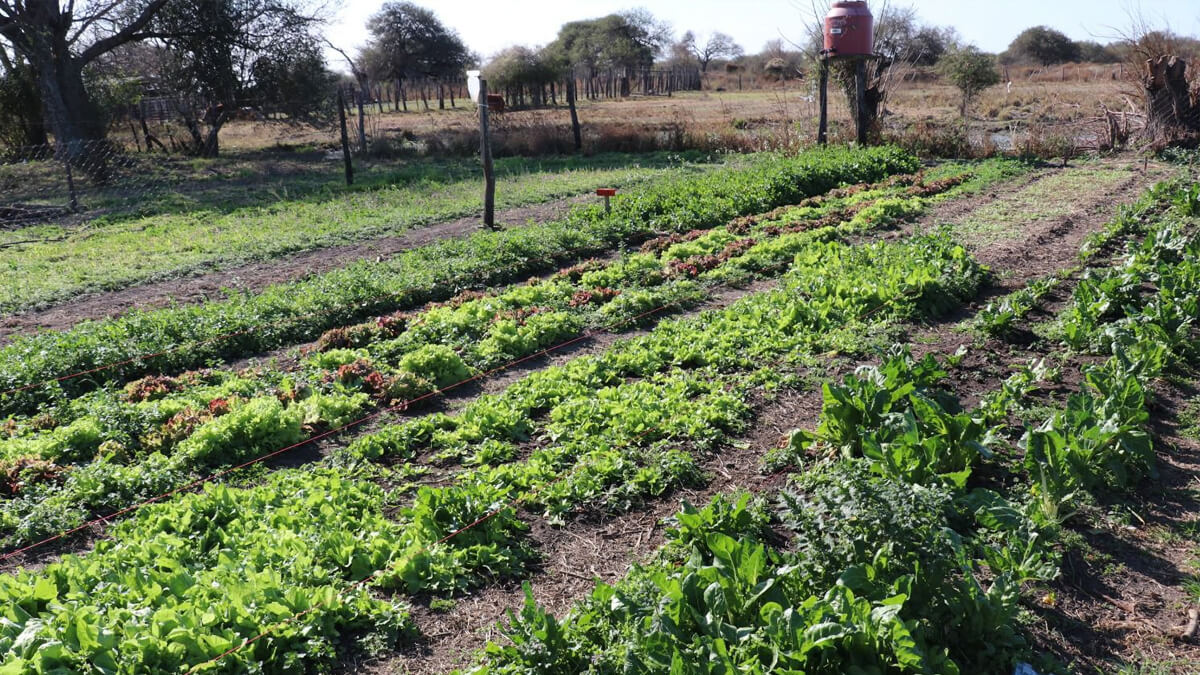 Huerta de familia de agricultura familiar en Santa Fe trabajando la tierra en proceso de regularización dominial