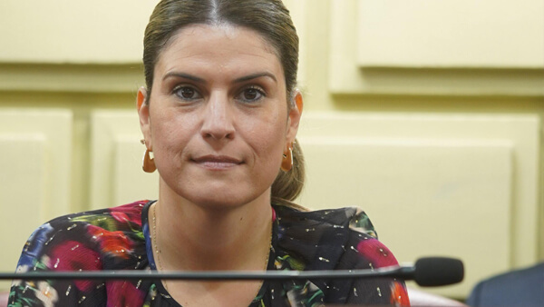 diputada Mancini en el recinto de Diputados de Santa Fe durante presentación del proyecto por puentes en El Rabón