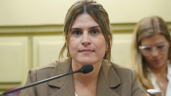 diputada mancini sesion legislatura santa fe proyectos norte provincial