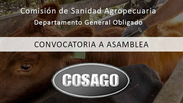 asamblea cosago arroyo ceibal convocatoria socios logo cosago