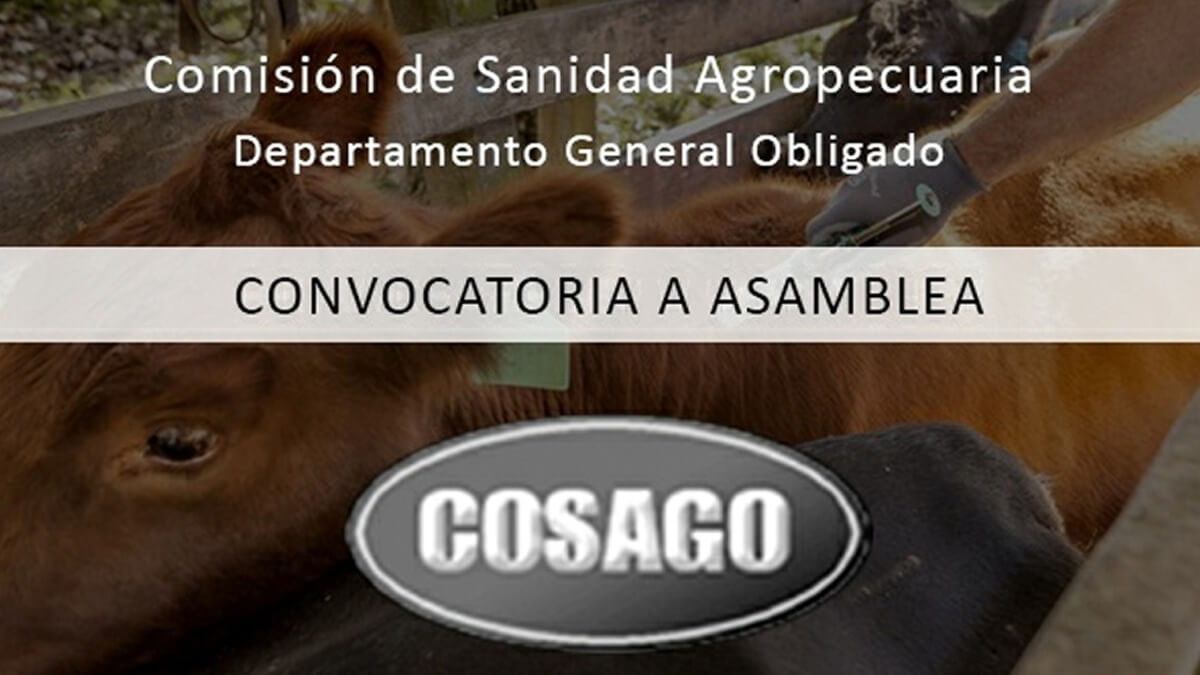 asamblea cosago arroyo ceibal convocatoria socios logo cosago