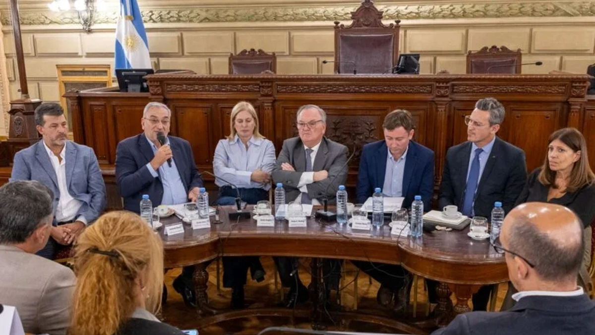 desarrollo de la audiencia publica en el senado de santa fe