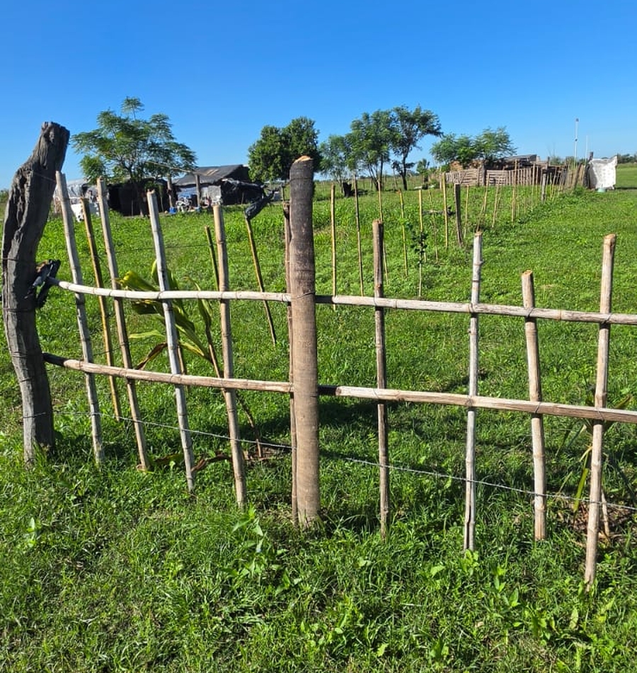 Terrenos ocupados de forma irregular en barrio Juan Perón de Las Toscas
