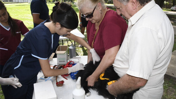 vacunación antirrábica en Avellaneda