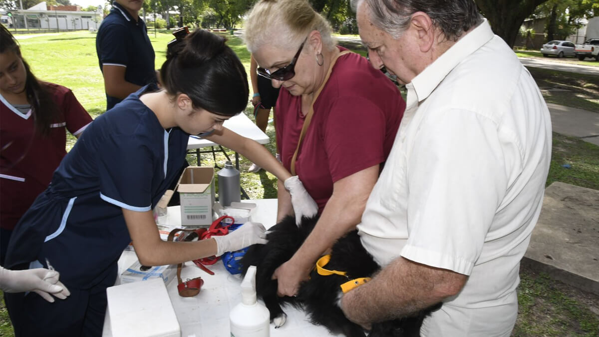 vacunación antirrábica en Avellaneda