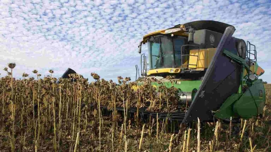 cosecha de girasol maquinaria agrícola rendimiento cultivo