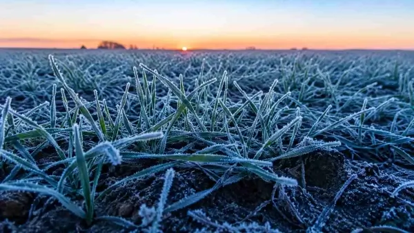 Helada sobre un campo de Santa Fe durante una mañana de bajas temperaturas