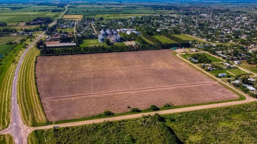 Vista aérea del sector destinado a la nueva área industrial de Romang, Santa Fe