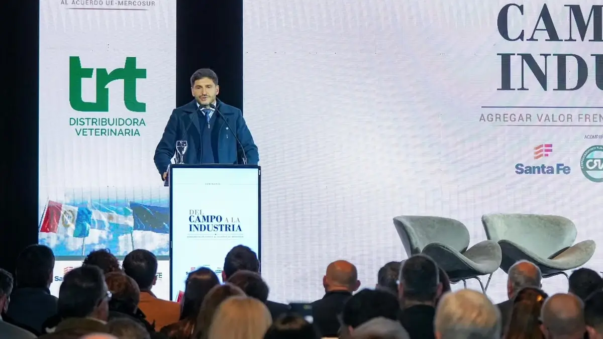 Maximiliano Pullaro durante su discurso en el seminario de Carsfe realizado en el Puerto de Santa Fe