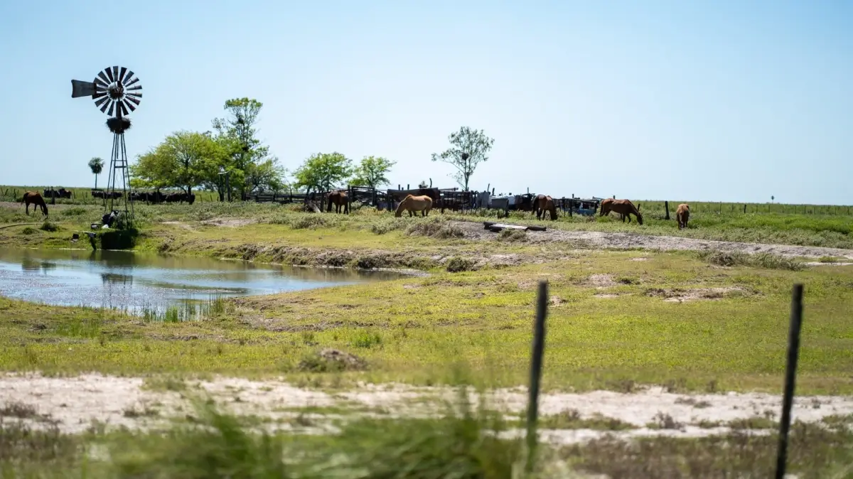Campo del departamento Vera, utilizado para ilustrar la propuesta que busca agilizar los certificados de emergencia agropecuaria para productores santafesinos.