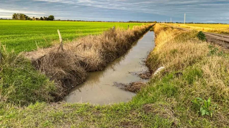 Canal rural acondicionado tras las tareas de limpieza y nivelación realizadas por la Municipalidad de Malabrigo
