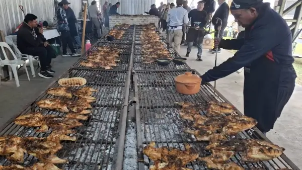 Parrilla con decenas de pollos cocinándose a las brasas durante el primer Concurso del Pollo a las Brasas realizado en Hersilia, Santa Fe.