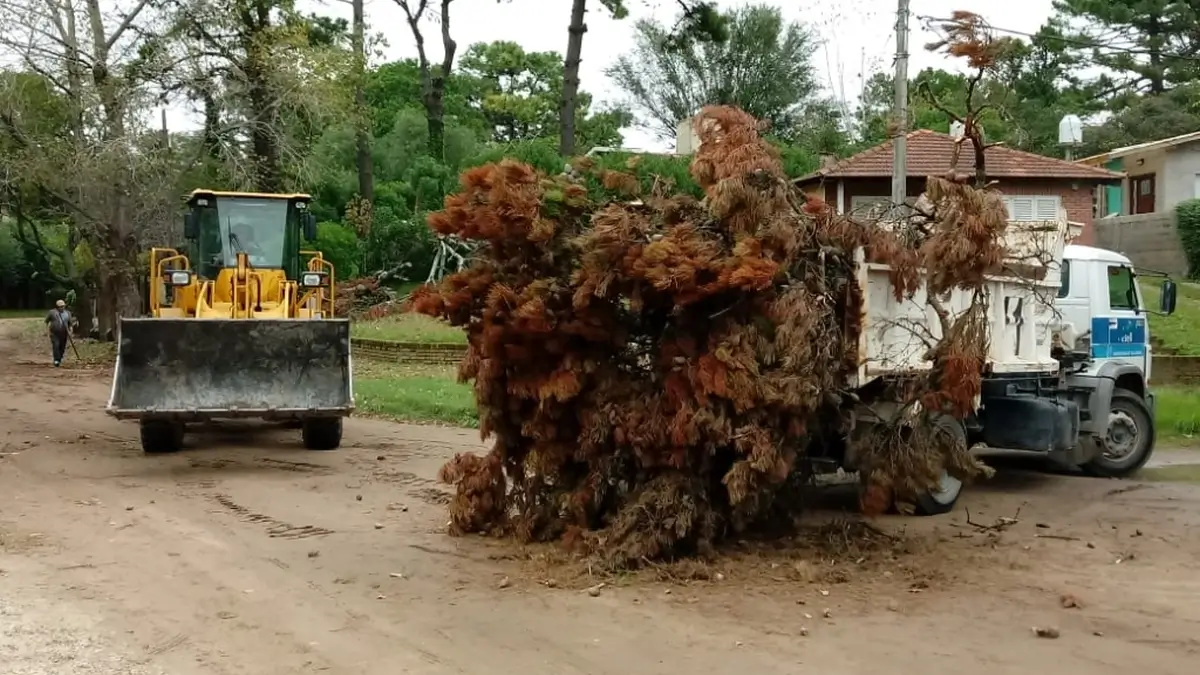 Personal municipal realizando tareas de recolección de ramas en distintos sectores de la ciudad de Villa Ocampo.