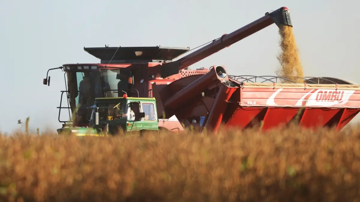 Cosecha de soja en un campo de Santa Fe durante la campaña agrícola, uno de los sectores que impulsó el crecimiento económico provincial.