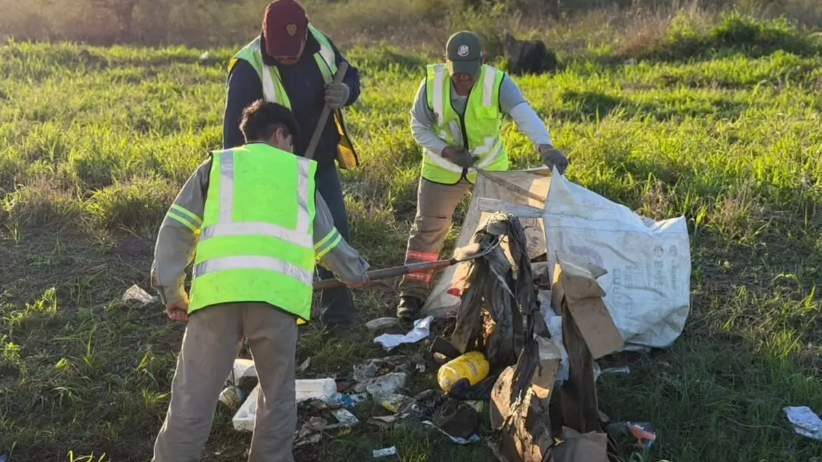Empleados municipales realizan tareas de limpieza de un microbasural en Avellaneda.