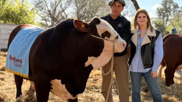 Mancini junto al toro premiado y su cuidador en la Expo Rural de Reconquista