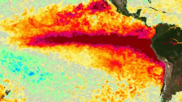Mapa de evolución de la temperatura oceánica muestra el calentamiento del Pacífico ecuatorial por El Niño