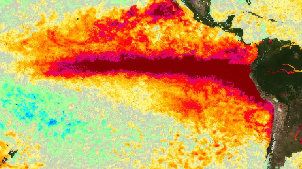 Mapa de evolución de la temperatura oceánica muestra el calentamiento del Pacífico ecuatorial por El Niño