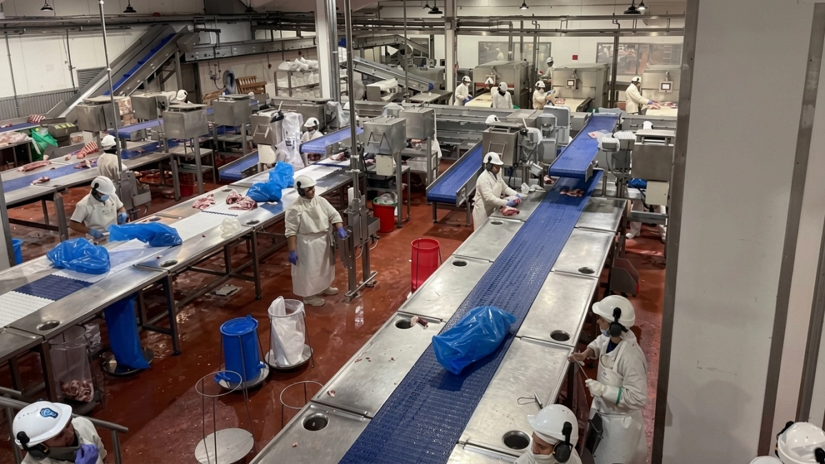 Pyme santafesina y financiamiento para afrontar cargos energéticos