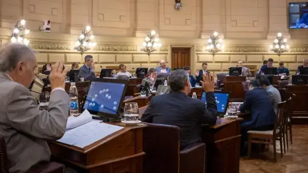 Sesión del Senado de Santa Fe durante el tratamiento del proyecto de prevención de la violencia de género.