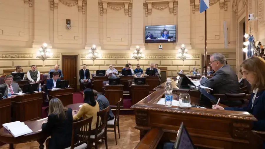 Segunda imagen de la sesión del Senado de Santa Fe durante el tratamiento del proyecto de prevención de la violencia de género.